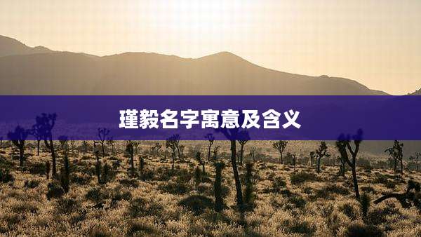 瑾毅名字寓意及含义