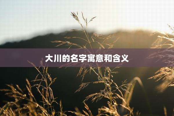 大川的名字寓意和含义