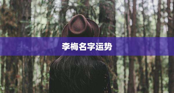李梅名字运势