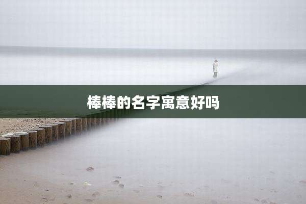 棒棒的名字寓意好吗