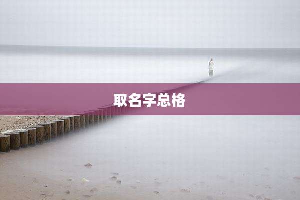 取名字总格