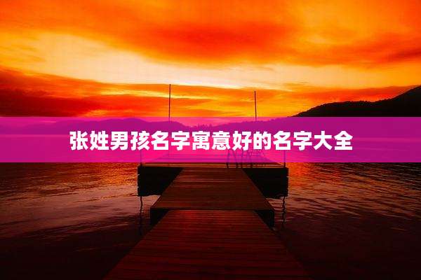 张姓男孩名字寓意好的名字大全