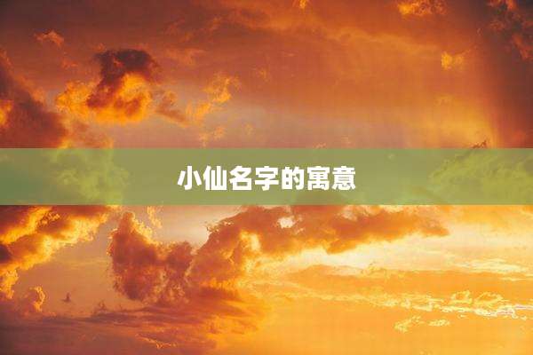 小仙名字的寓意