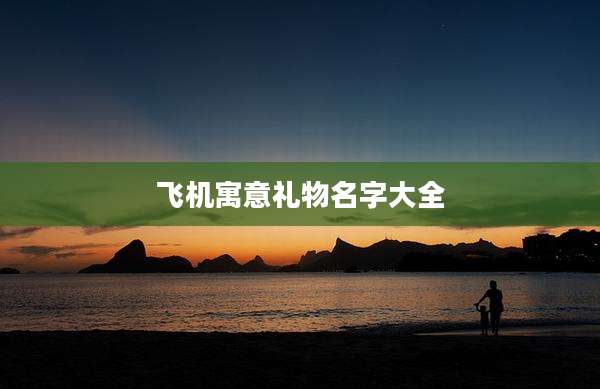 飞机寓意礼物名字大全