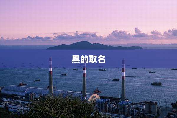 黑的取名