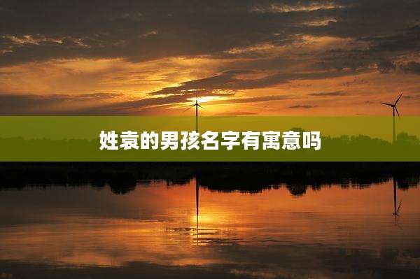 姓袁的男孩名字有寓意吗