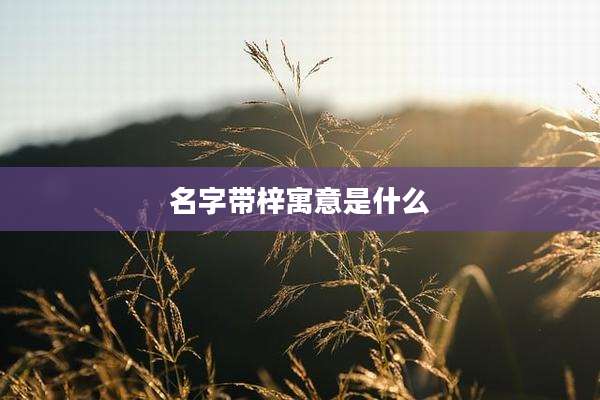 名字带梓寓意是什么