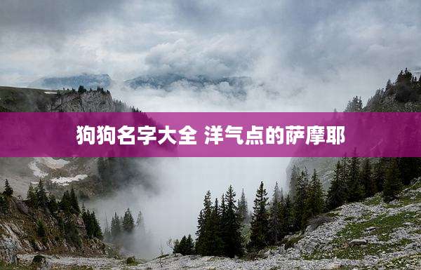 狗狗名字大全 洋气点的萨摩耶