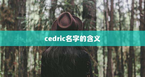 cedric名字的含义