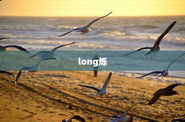 long烁
