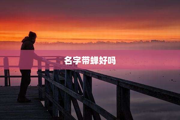 名字带蝉好吗