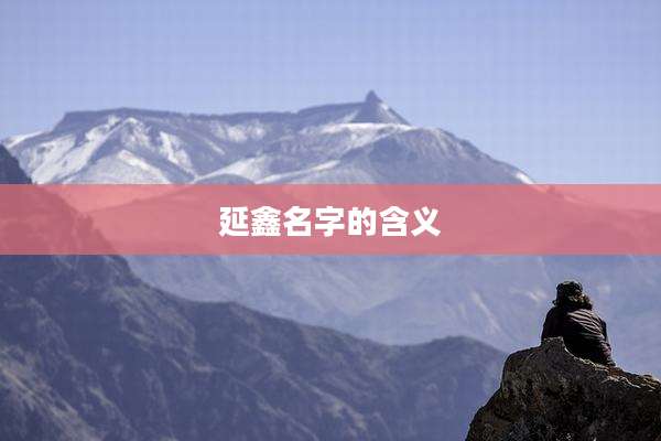 延鑫名字的含义