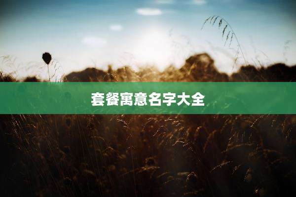 套餐寓意名字大全