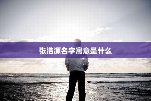 张浩源名字寓意是什么