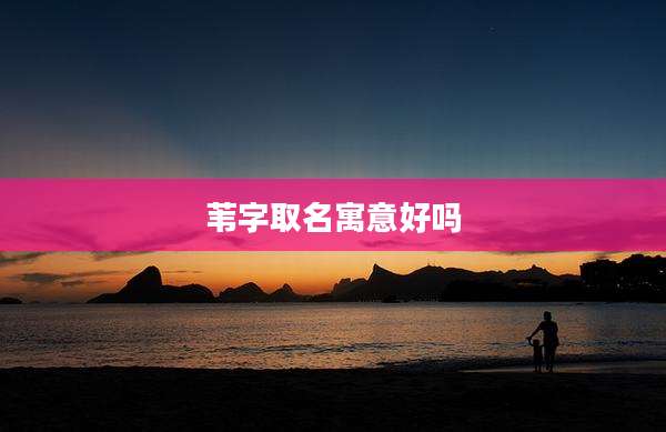 苇字取名寓意好吗