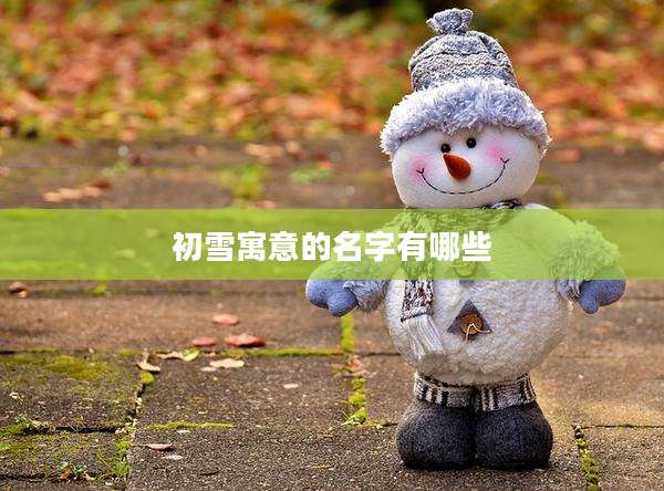 初雪寓意的名字有哪些