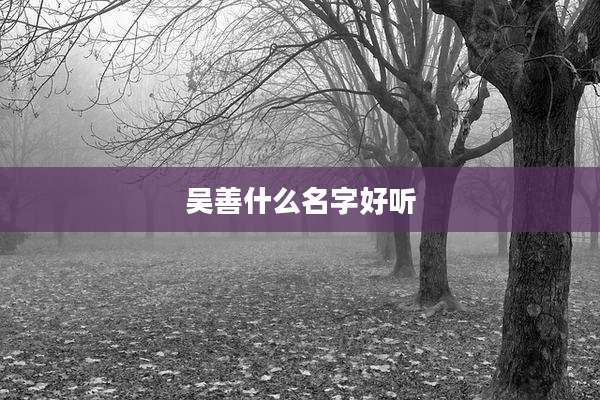 吴善什么名字好听