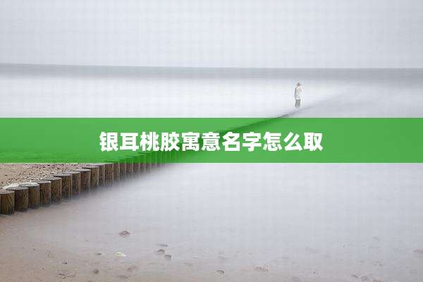 银耳桃胶寓意名字怎么取