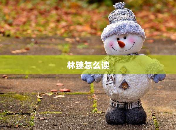林臻怎么读