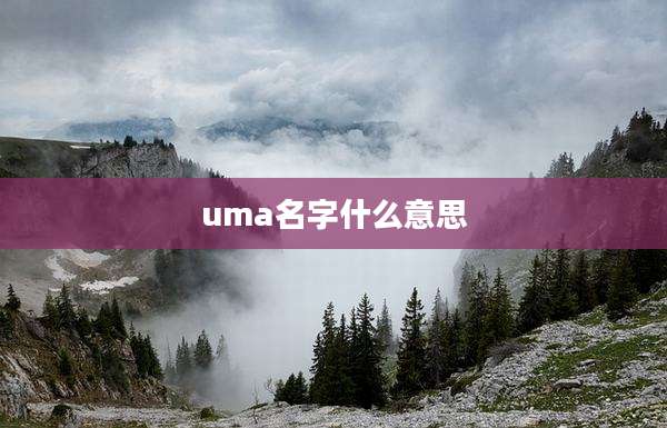 uma名字什么意思