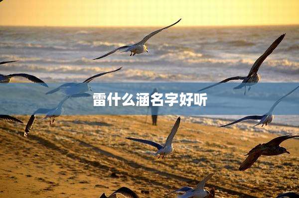 雷什么涵名字好听