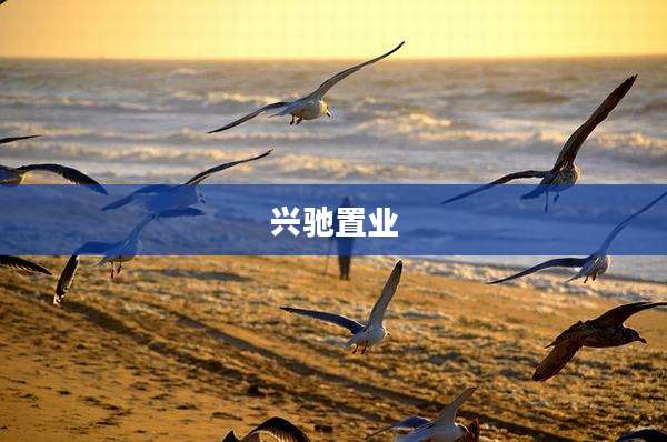 兴驰置业