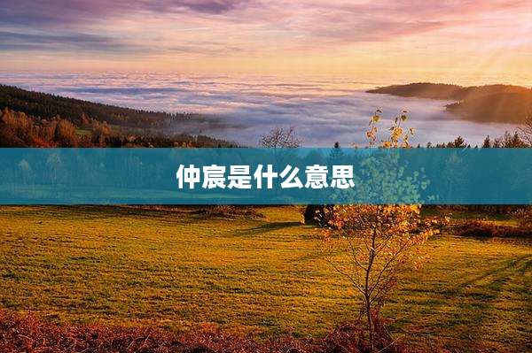 仲宸是什么意思