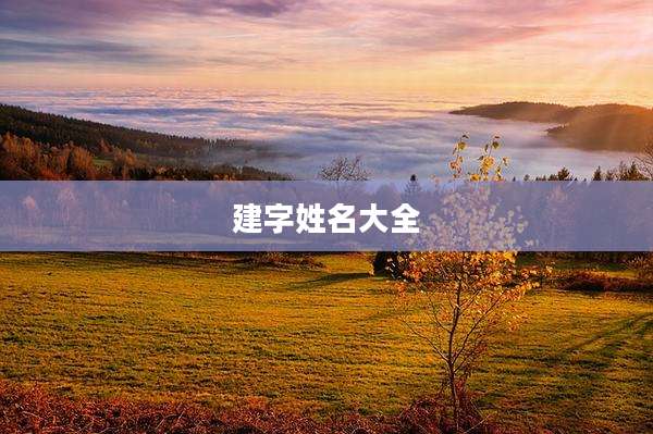 建字姓名大全