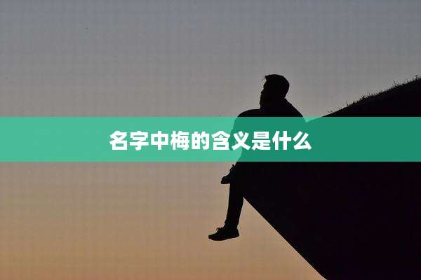 名字中梅的含义是什么
