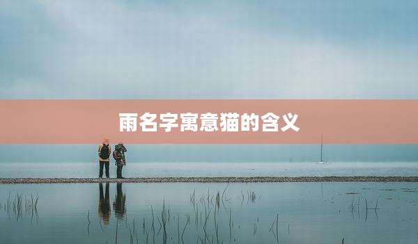 雨名字寓意猫的含义