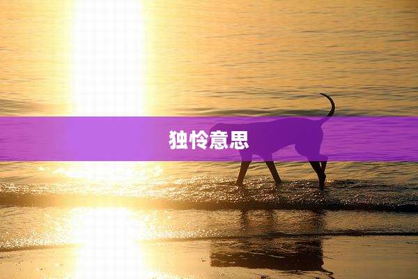 独怜意思