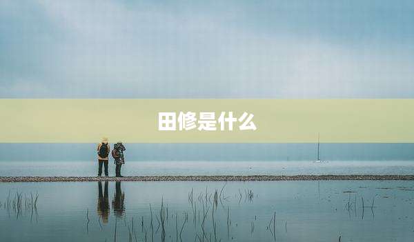 田修是什么