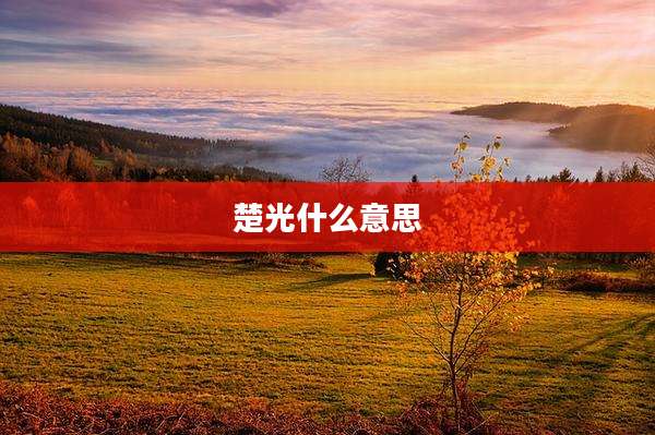 楚光什么意思