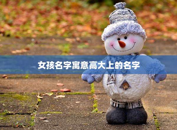 女孩名字寓意高大上的名字