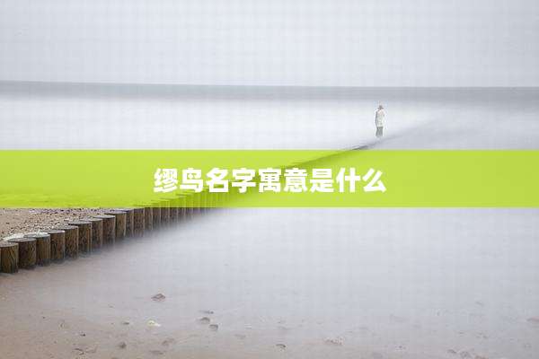 缪鸟名字寓意是什么