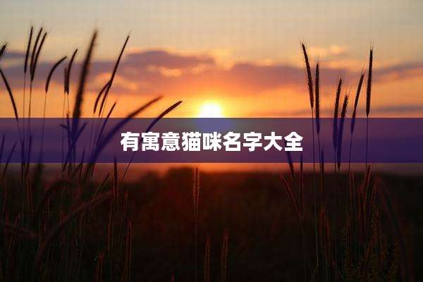 有寓意猫咪名字大全