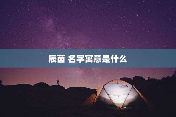 辰茵 名字寓意是什么