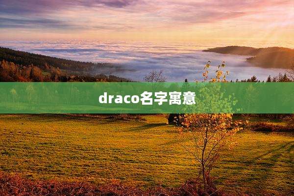 draco名字寓意