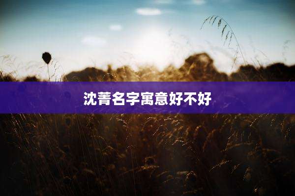 沈菁名字寓意好不好