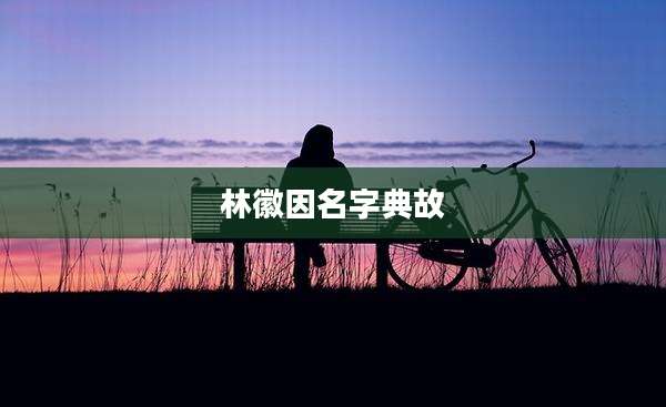 林徽因名字典故