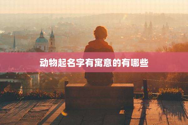 动物起名字有寓意的有哪些