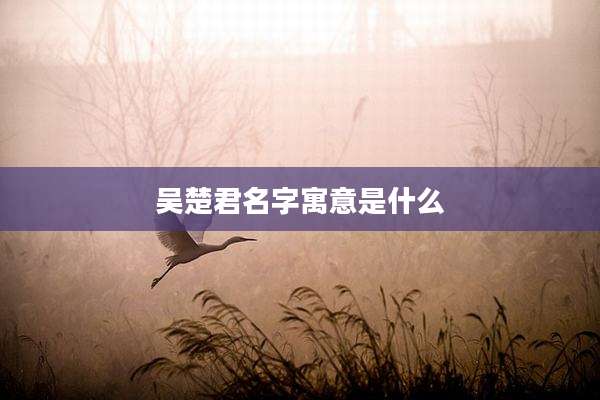 吴楚君名字寓意是什么