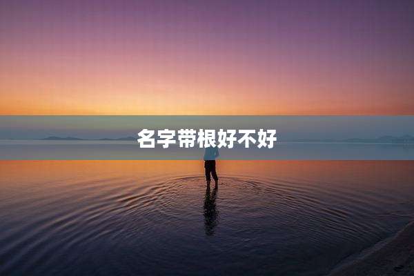 名字带根好不好