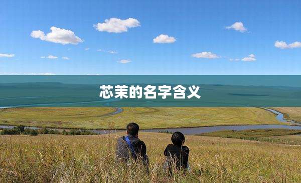 芯茉的名字含义