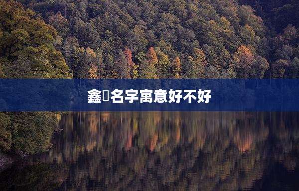 鑫洺名字寓意好不好