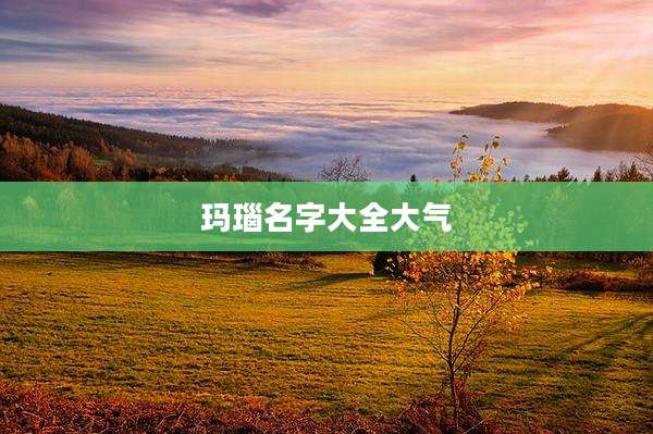 玛瑙名字大全大气