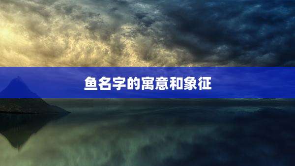 鱼名字的寓意和象征