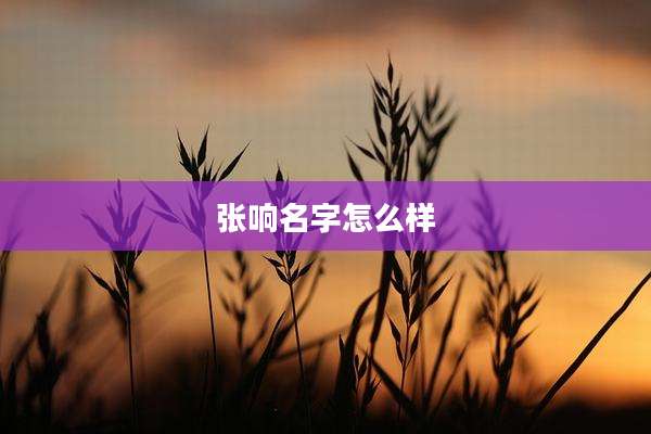 张响名字怎么样