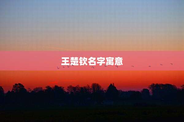 王楚钦名字寓意