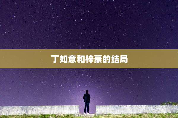 丁如意和梓豪的结局